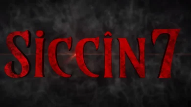 Siccin 7